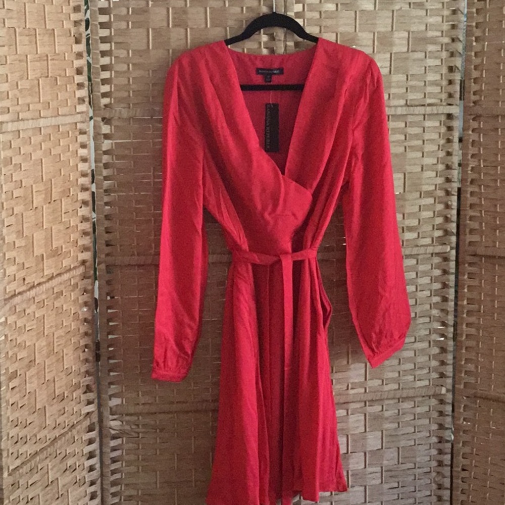 Long Sleeve, V-Neck Banana Rep Dress with lining